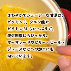 ふるさと納税 愛南町 【先行予約:2026年1...の詳細画像1