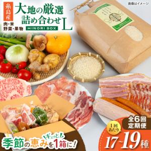ふるさと納税 糸島市 全6回定期便 糸島産 肉 米 野菜 果物 厳選詰め合わせ MINORI BOX L [AOP017]
