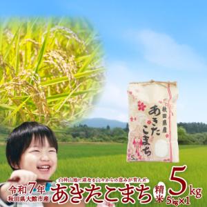 ふるさと納税 大館市 【令和7年産】あきたこまち(精米)5kg(5kg×1袋)