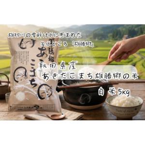 ふるさと納税 湯沢市 あきたこまち 雄勝郷の米 白米5kg[B2004]