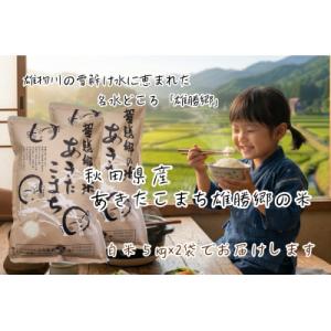ふるさと納税 湯沢市 あきたこまち 雄勝郷の米 白米5kg×2袋[B9-2001]