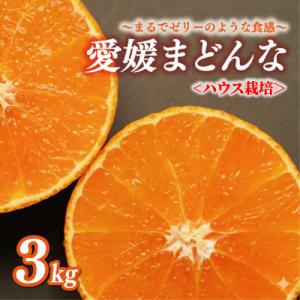 ふるさと納税 愛南町 先行受付 数量限定  正品 まどんな (愛果28号) 3kg 前田ファーム