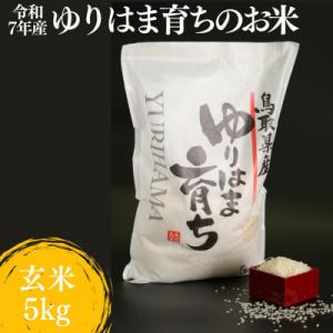 ふるさと納税 湯梨浜町 ゆりはま育ちのお米◇玄米5kg◇令和7年産(371K.)