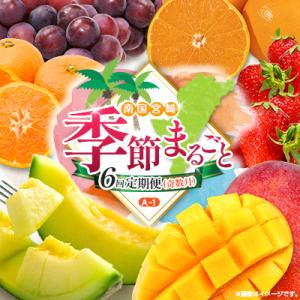 ふるさと納税 宮崎県 【奇数月6回定期便】南国宮崎産人気フルーツ詰め合わせ(A-1コースM110)