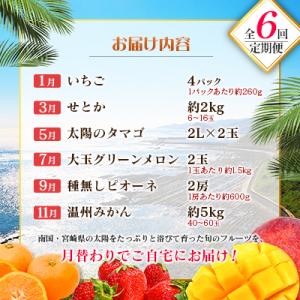 ふるさと納税 宮崎県 【奇数月6回定期便】南国...の詳細画像1