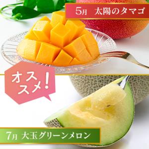 ふるさと納税 宮崎県 【奇数月6回定期便】南国...の詳細画像2