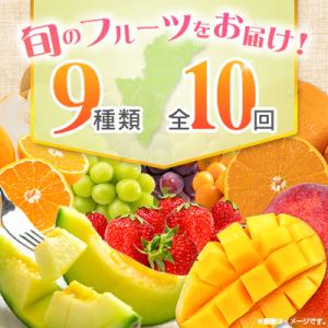 ふるさと納税 宮崎県 【10回定期便】南国宮崎...の詳細画像3