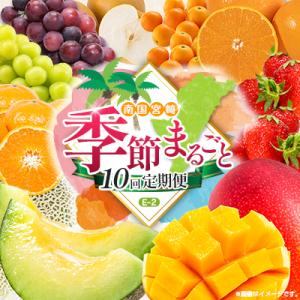 ふるさと納税 宮崎県 【10回定期便】南国宮崎産人気フルーツ詰め合わせ(E-2コース M600)