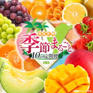 ふるさと納税 宮崎県 【10回定期便】南国宮崎産人気フルーツ詰め合わせ(E-3コース M700)