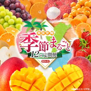 ふるさと納税 宮崎県 【12回定期便】南国宮崎産人気フルーツ詰め合わせ(Dコース M400)
