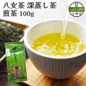 ふるさと納税 宗像市 八女茶 深蒸し茶煎茶 100g【株式会社JSE】_HA1866