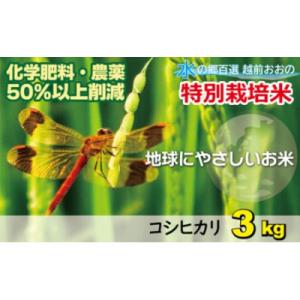 ふるさと納税 大野市 【令和7年産】こしひかり(福井県大野市産)福井県特別栽培米 3kg【白米】