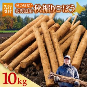 ふるさと納税 清水町 先行受付!2026年10月頃〜発送開始!北海道十勝清水町産 ごぼう! 10kg