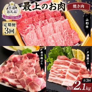 ふるさと納税 戸沢村 【新庄市×戸沢村×金山町 共通返礼品】最上のお肉 焼き肉セット定期便 3回 FAE-0009