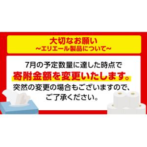 ふるさと納税 可児市 エリエール i:na(イ...の詳細画像1