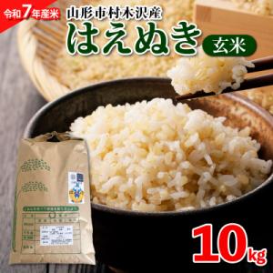 ふるさと納税 山形市 【令和7年産米】山形市 村木沢産 はえぬき(玄米) 10kg ブランド米 山形 FZ25-864