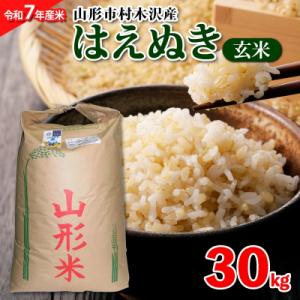 ふるさと納税 山形市 【令和7年産】山形市 村木沢産 はえぬき 玄米 30kg FZ25-528