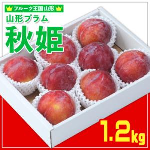 ふるさと納税 山形市 ★フルーツ王国山形★山形プラム(秋姫)1.2kg すもも【令和8年産先行予約】...