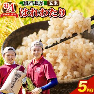 ふるさと納税 弘前市 米 はれわたり 5kg[玄米]特A 慣行栽培 青森県産 令和7年産|24_gnz-170501
