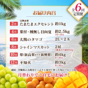 ふるさと納税 宮崎県 【偶数月6回定期便】南国...の詳細画像1