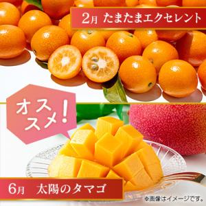 ふるさと納税 宮崎県 【偶数月6回定期便】南国...の詳細画像2