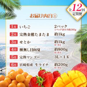 ふるさと納税 宮崎県 【12回定期便】南国宮崎...の詳細画像1