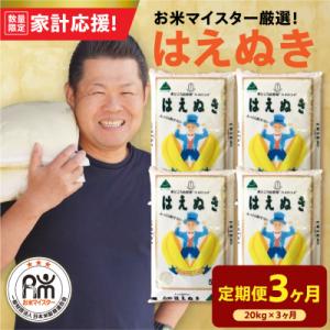 ふるさと納税 米沢市 【3ヶ月定期便】 令和7年産 はえぬき 20kg ( 5kg × 4袋 ) × 3回 計60kg