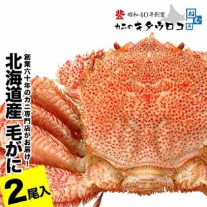 ふるさと納税 根室市 毛がに550g〜650g前後×2尾 F-25014