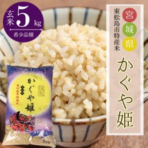ふるさと納税 東松島市 【令和7年産】 新米 宮城県産 超稀少品種 かぐや姫 玄米 5kg 宮城県 東松島市 天授のお米 米