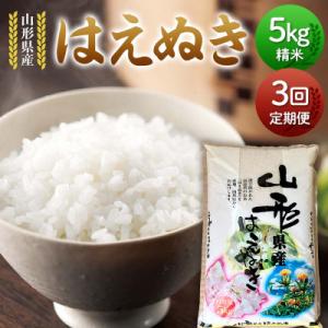 ふるさと納税 戸沢村 【定期便3回】山形県産 はえぬき 5kg×3回 合計15kg F7W-0287