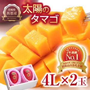 ふるさと納税 西都市 宮崎県西都市産完熟マンゴー『太陽のタマゴ』4L×2玉　d[3043]