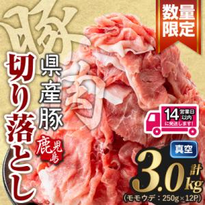 ふるさと納税 曽於市 鹿児島県産 豚肉切り落とし (計3kg)