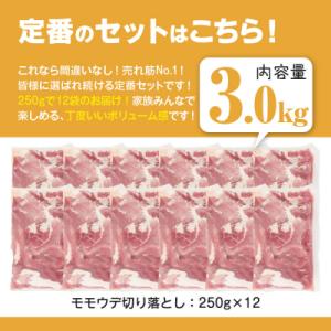 ふるさと納税 曽於市 鹿児島県産 豚肉切り落と...の詳細画像2