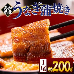 ふるさと納税 香南市 うなぎの蒲焼き 約200g...の商品画像