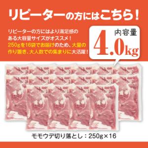 ふるさと納税 曽於市 鹿児島県産 豚肉切り落と...の詳細画像2