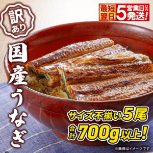 ふるさと納税 境町 〈最短翌日発送〉 【訳あり】国産 うなぎ 蒲焼き 5尾 700g以上! ※サイズ...