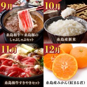 ふるさと納税 糸島市 【全12回】【限定30セ...の詳細画像3