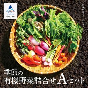 ふるさと納税 小松市 西田農園 季節の野菜詰合せ Aセット 野菜食べ比べ
