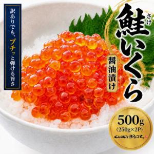 ふるさと納税 名古屋市 訳あり いくら醤油漬け 鮭卵 化粧箱入 500g(250gx2P)  尾張まるはち