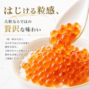 ふるさと納税 名古屋市 訳あり いくら醤油漬け...の詳細画像1