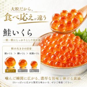 ふるさと納税 名古屋市 訳あり いくら醤油漬け...の詳細画像2