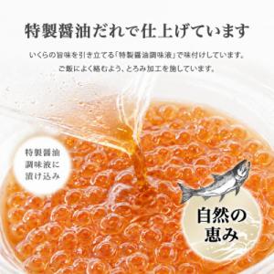 ふるさと納税 名古屋市 訳あり いくら醤油漬け...の詳細画像3