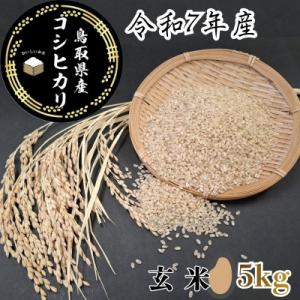 ふるさと納税 八頭町 鳥取県産「コシヒカリ」玄米5kg(令和7年産)