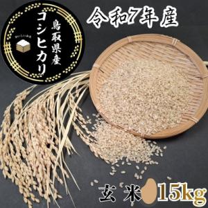 ふるさと納税 八頭町 鳥取県産「コシヒカリ」玄米15kg(令和7年産)