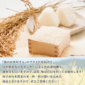 ふるさと納税 西予市 <令和7年産 お米...の詳細画像3