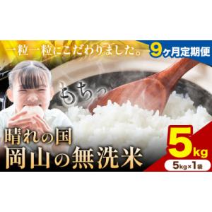 ふるさと納税 矢掛町 【9ヶ月定期便】晴れの国岡山の無洗米 5kg《申し込み翌月から発送》
