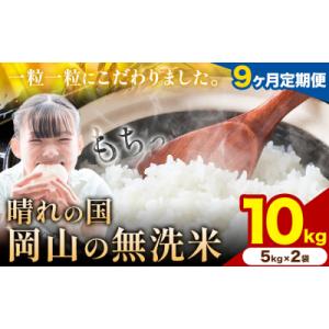 ふるさと納税 矢掛町 【9ヶ月定期便】晴れの国岡山の無洗米 10kg 《申し込み翌月から発送》