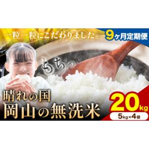 ふるさと納税 矢掛町 【9ヶ月定期便】晴れの国岡山の無洗米 20kg《申し込み翌月から発送》