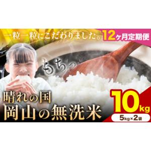 ふるさと納税 矢掛町 【12ヶ月定期便】晴れの国岡山の無洗米 10kg《申し込み翌月から発送》