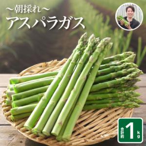 ふるさと納税 下関市 【7~9月発送】朝採れアスパラガス 1kg S~M FP101-79